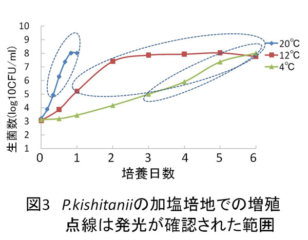 ishiki10-3.jpg