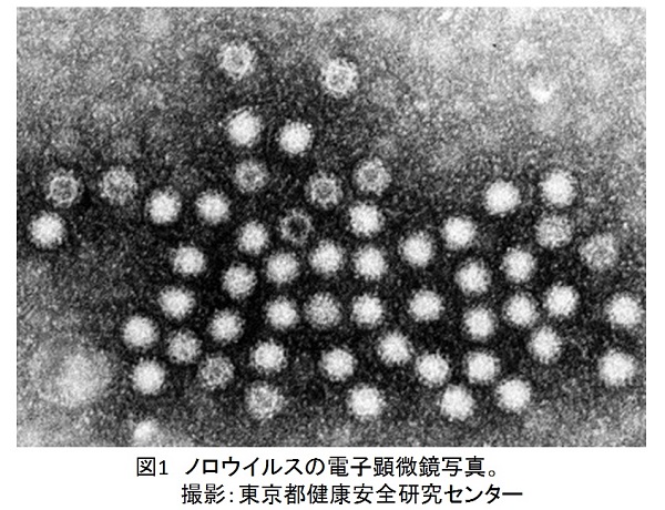 ishiki11-1.jpg
