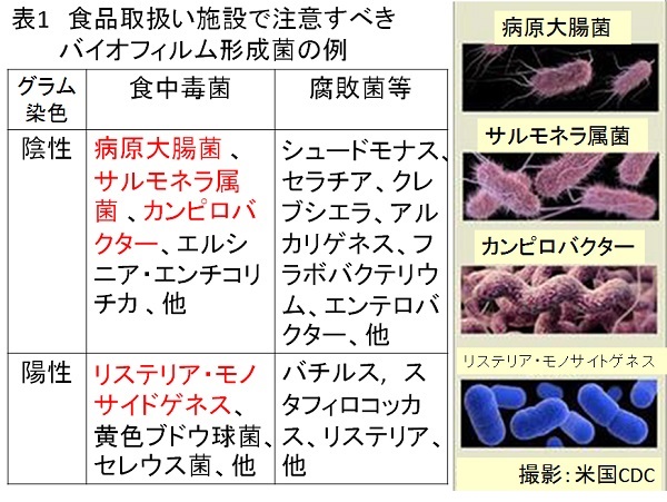 ishiki12-2.jpg