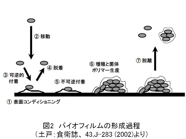 ishiki12-3.jpg