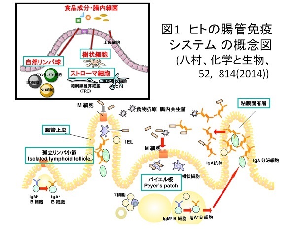 ishiki13-2.jpg