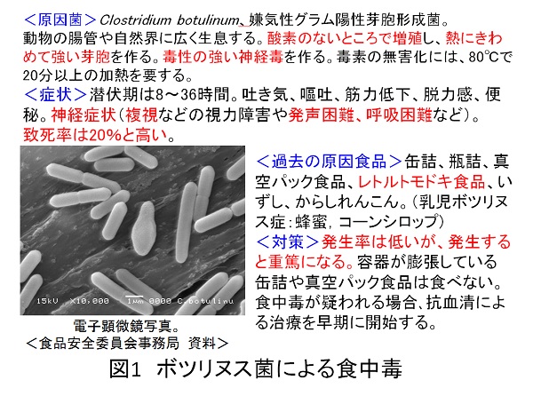 ishiki15-1.jpg