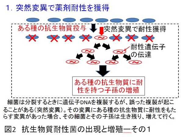 ishiki17-2.jpg