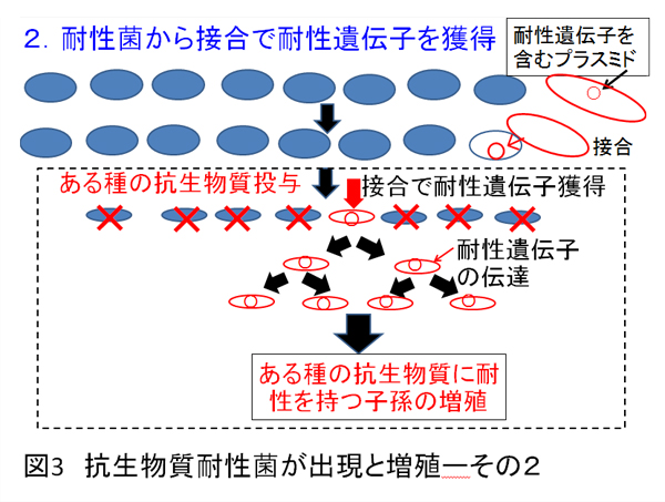 ishiki17-3.jpg