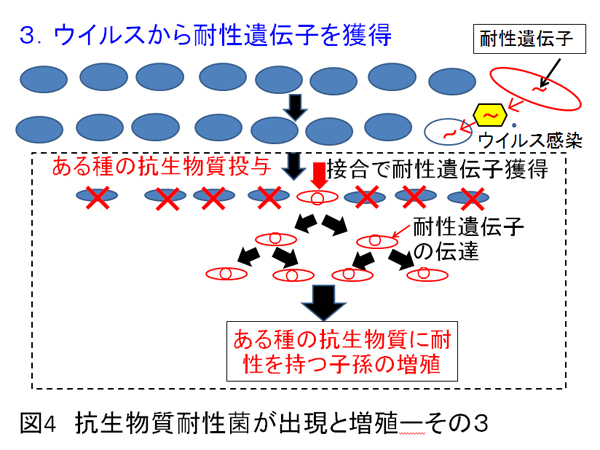 ishiki17-4.jpg