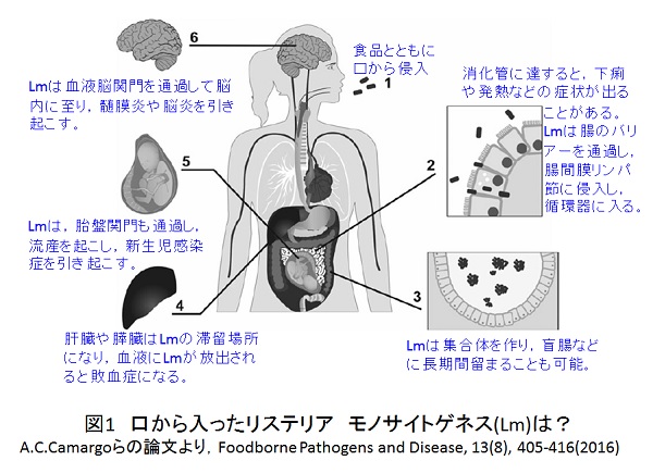 ishiki301.jpg