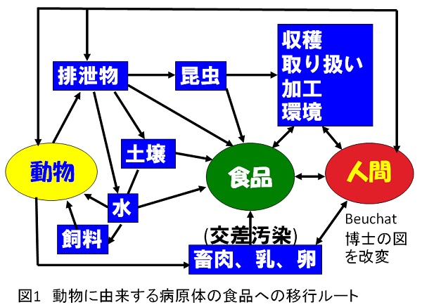 ishiki334.jpg