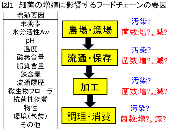 細菌の増殖に影響するフードチェーンの要因