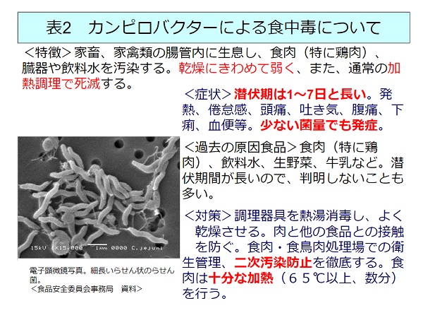 加熱 カンピロバクター カンピロバクター食中毒の予防について