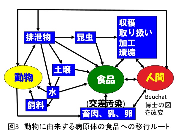 ishiki534.jpg