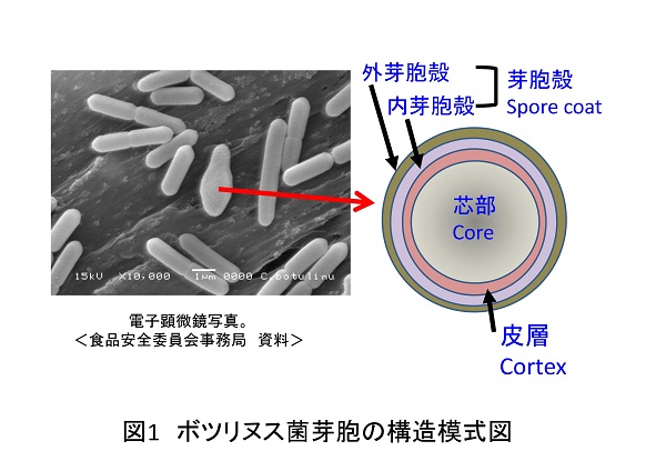 ishiki541.jpg