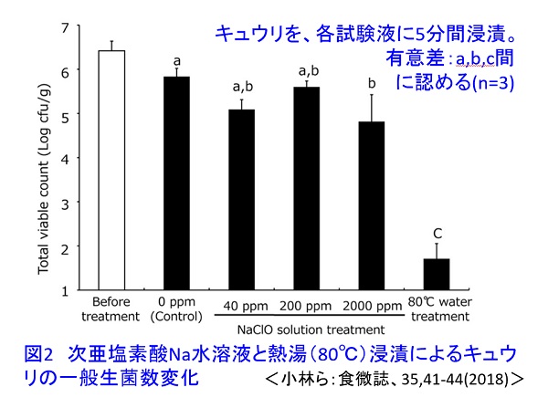 ishiki572.jpg