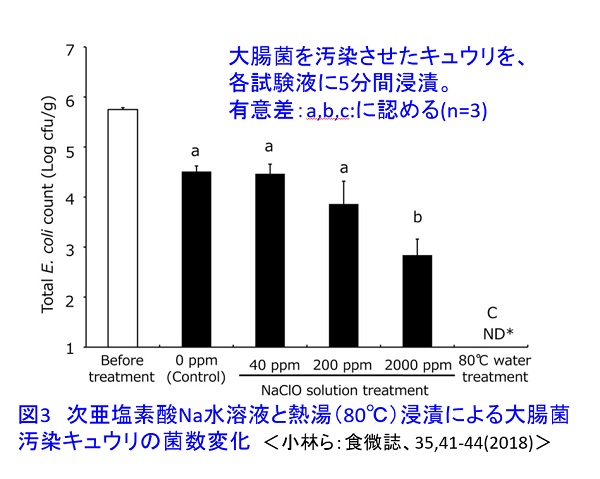 ishiki573.jpg