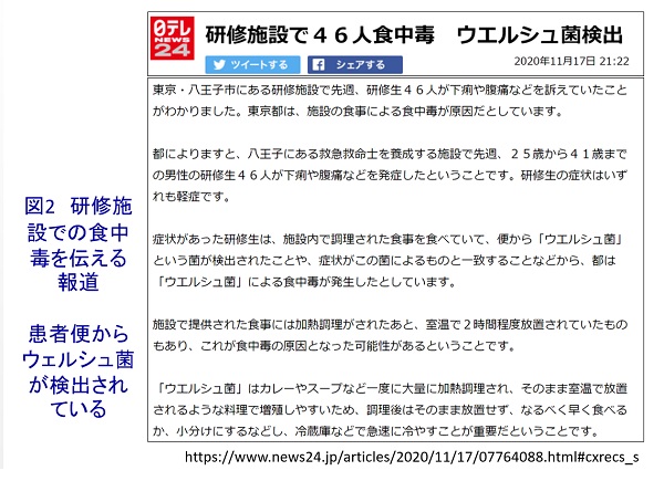 菌 ウエルシュ ひと晩寝かせたカレーで食中毒?! 加熱しても死なないウェルシュ菌とは(lentcardenas.comサプリ