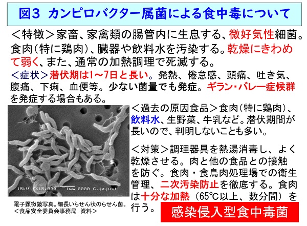 水由来のカンピロバクター属菌食中毒